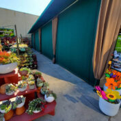 WSIM COMMERCIAL AWNING 8